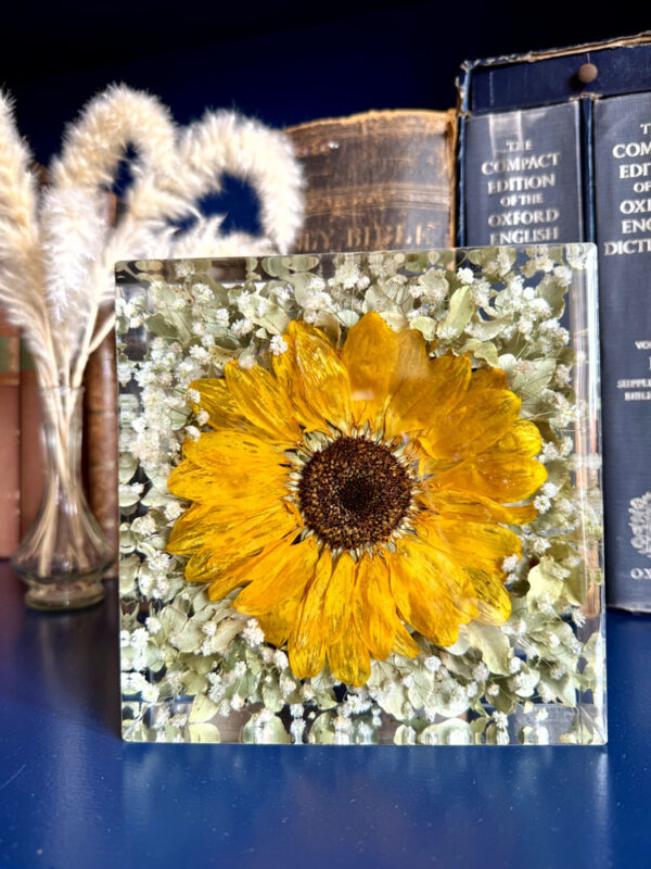 Bouquet nella resina 18x18 girasole verde e nebbiolina 7