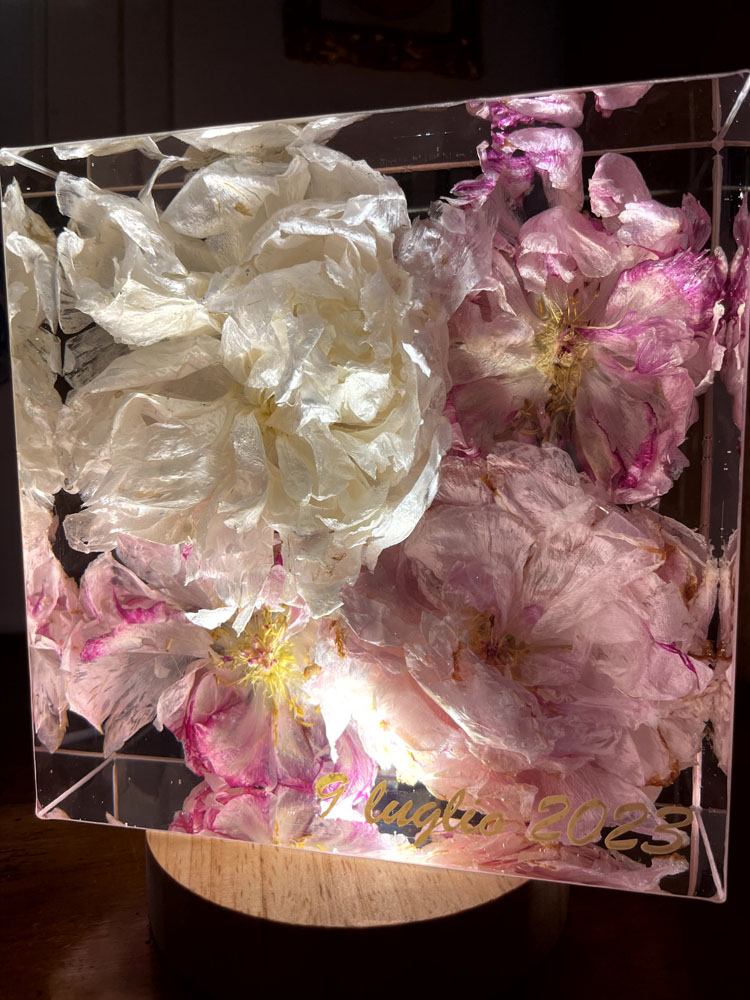 bouquet 15x15 peonie rosa e bianche illuminato 3