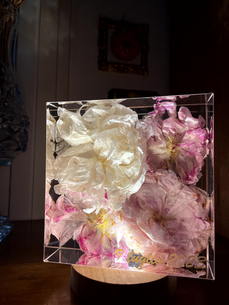 bouquet 15x15 peonie rosa e bianche illuminato 4